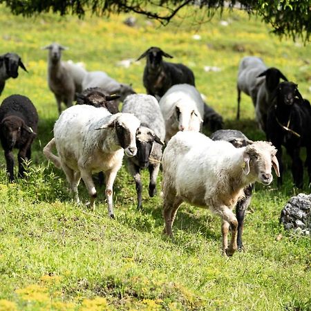 Appartamento Wimbachlehen Ramsau bei Berchtesgaden Esterno foto